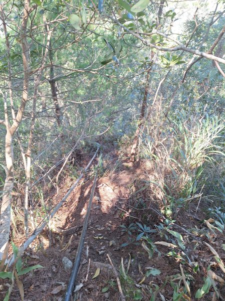 上谷關山202511202940868