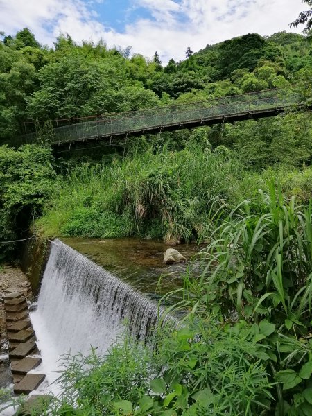 優美林相森林浴~橫嶺山自然步道x橫嶺山938308