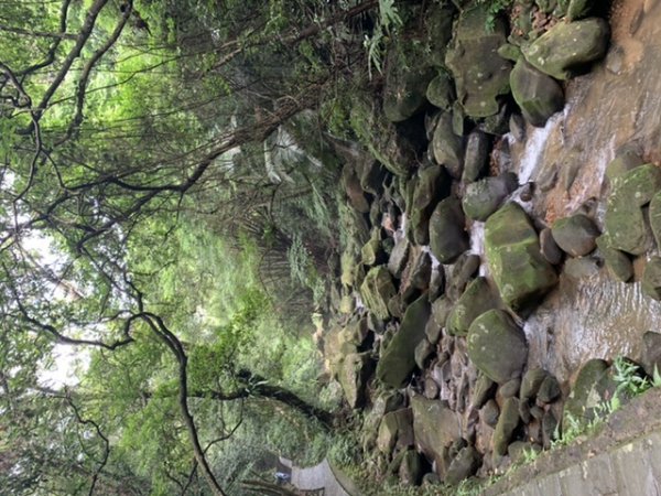 台北大縱走第四段1667329