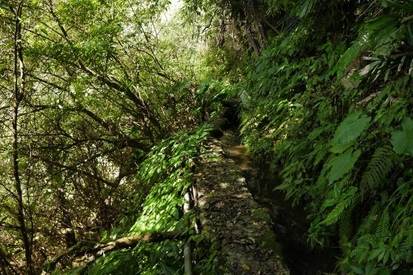 探猴崁水圳步道源頭瀑布1417996