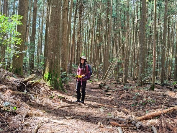 高島縱走202502152713801