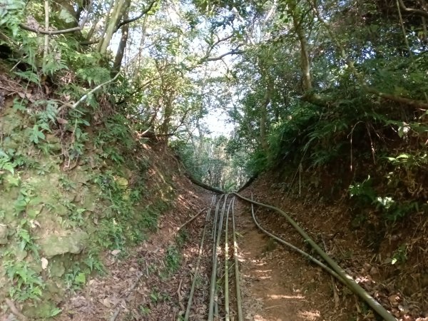 頭城鎮外澳車站+石空古道+太和山步道+蛇頭觀景台+象寮古道+烏山古道+外澳車站O型3018454