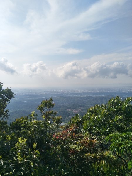 桃園金面山步道1704365