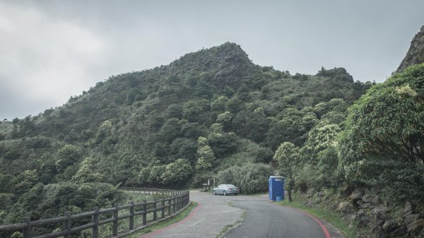 仙氣飄飄-無耳茶壺山1752152