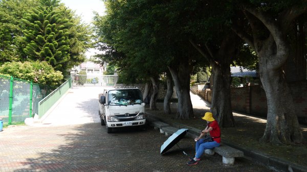 二訪鐵砧山登山建行趣(小百岳38號)1623162