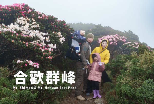 親子登山【合歡群峰】高山杜鵑花季攀登合歡群峰！