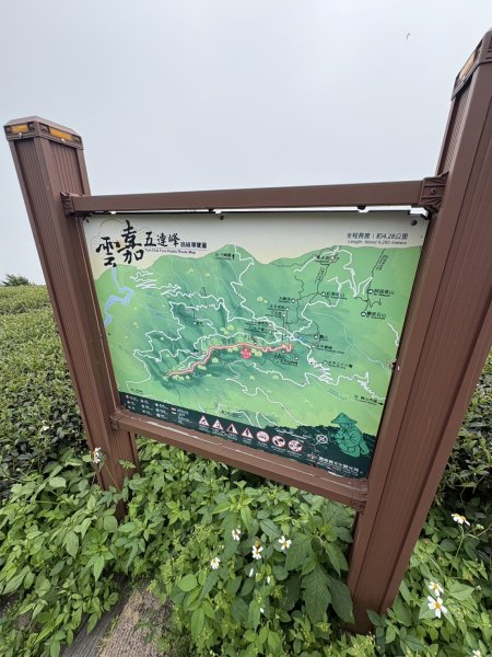 20251024雲嘉五連峰+碧湖山2924275