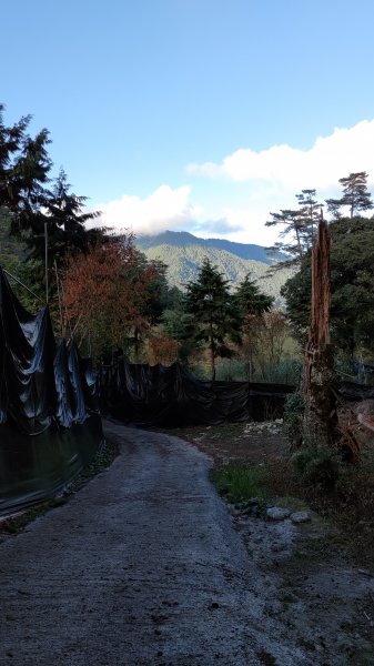 武法奈尾山1946751