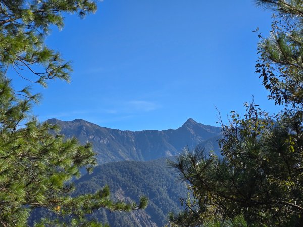 東埔山／鹿林山／鹿林神木2666712