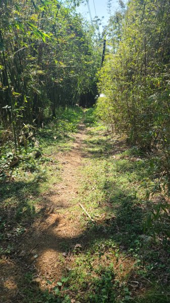 2025-0130溪和宮-大崎頭步道-鵝尾山-平溪步道-鵝尾山水田-42巷-溪山百年古圳-平菁步道2701919