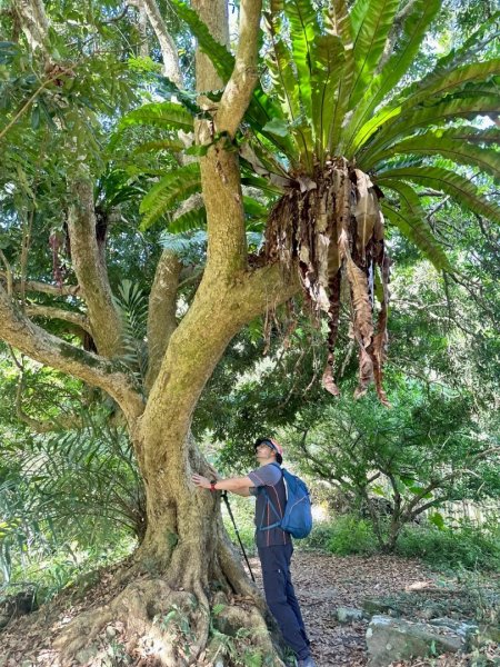 20250417小百岳🤣烏山 刣牛湖山縱走2764706