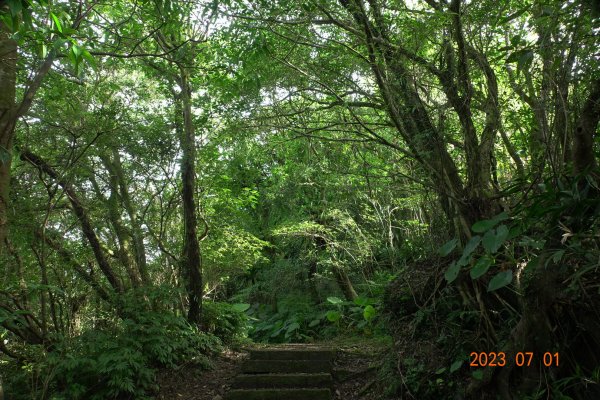 宜蘭 頭城 蕃薯寮山、鹿窟尾山、灣坑頭山2203010