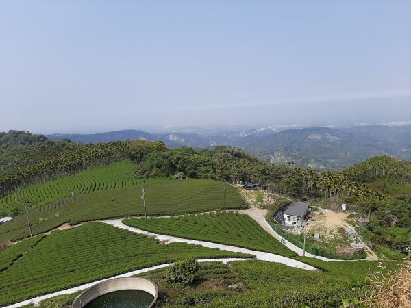 樟湖山、後棟仔山、大尖山、二尖山4山連走1337059