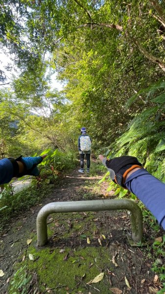 烏來阿玉溪山/西坑林道/探勘派出護管所彈藥庫遺址至獅坑橋2581993