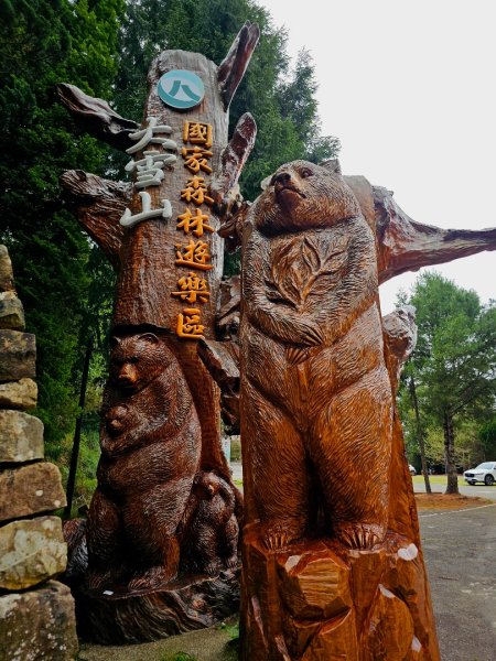 大雪山森林遊樂區森林浴步道-(台中)臺灣百大必訪步道2655157