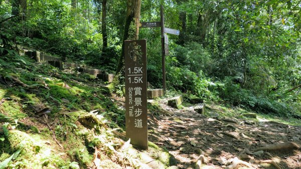 福山部落,內洞森遊區2552432