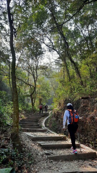 《彰化》社頭18彎古道上橫山＋山湖步道O型202102281287525