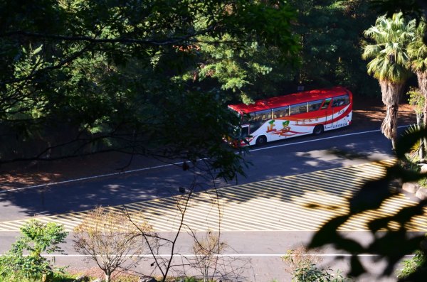 唐麻丹山 - 裡冷登山口 (順登 : 東勢山)2462015