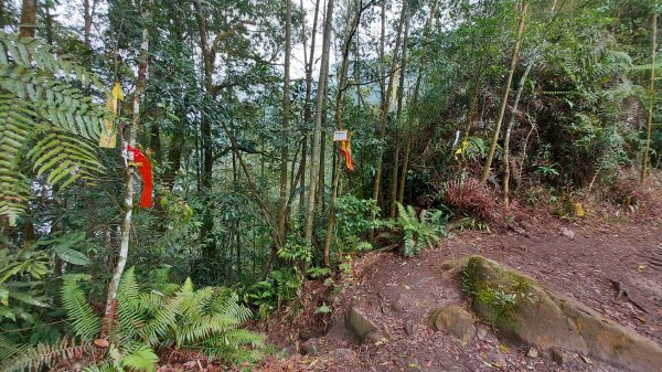 水社大山水社主峰新年二部曲1598818