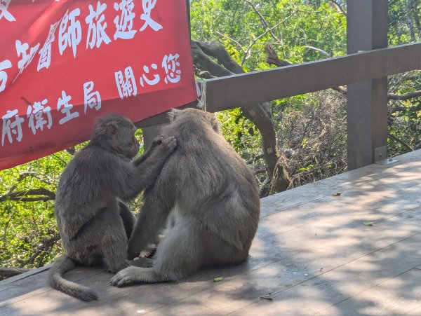 2025.03.25－壽山健走2746393