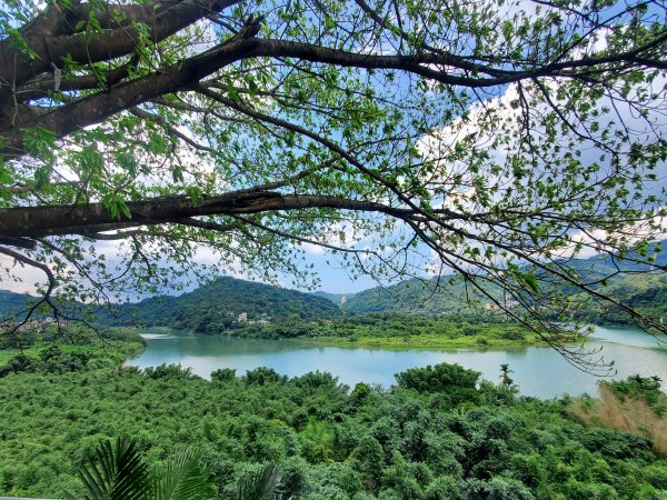 屈尺古道，小粗坑綠廊