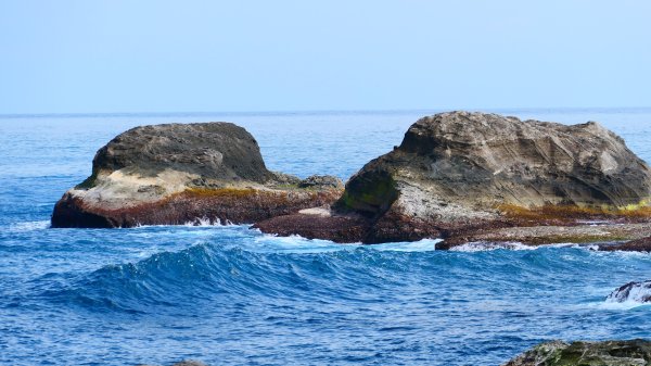 洄瀾東海岸3006702