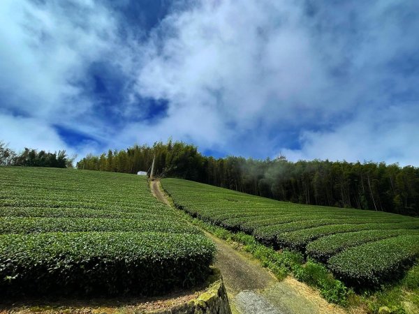 二延坪_鹿林山2865327