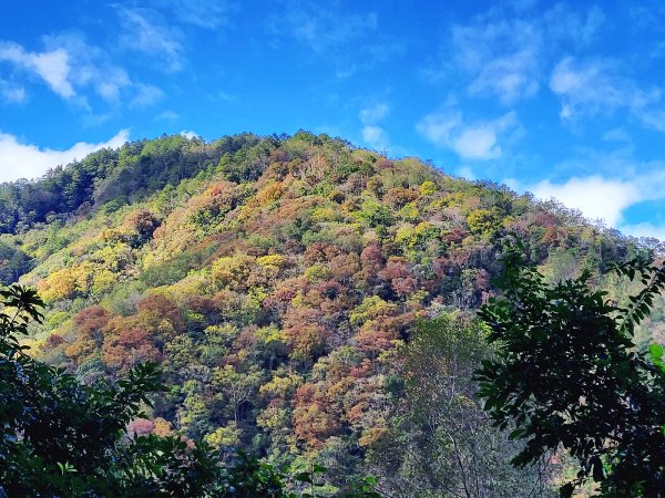 【戀戀楓紅】霞喀羅賞楓行2675613