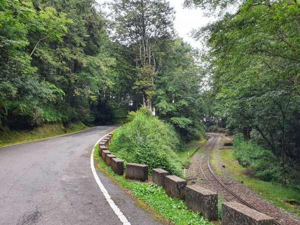 祝山觀日步道1053497