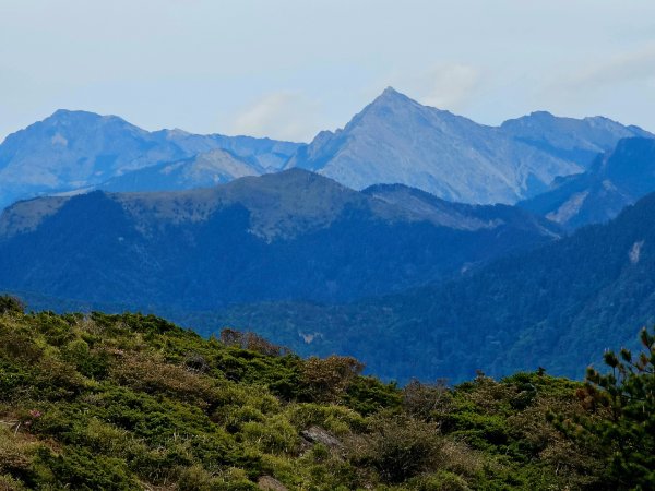 合歡北峰步道-(南投)臺灣百大必訪步道2795013
