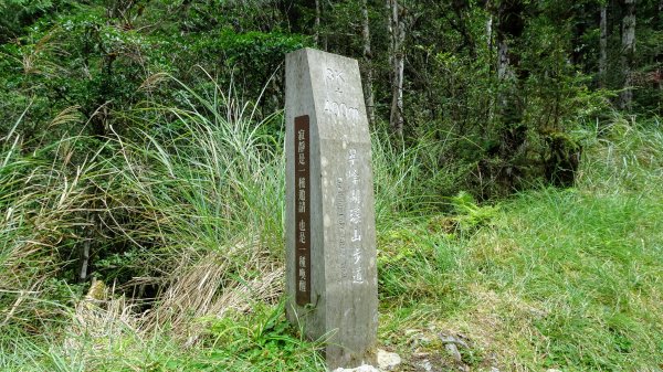 太平山（翠峰,茂興,鐵杉林,見晴）1097080