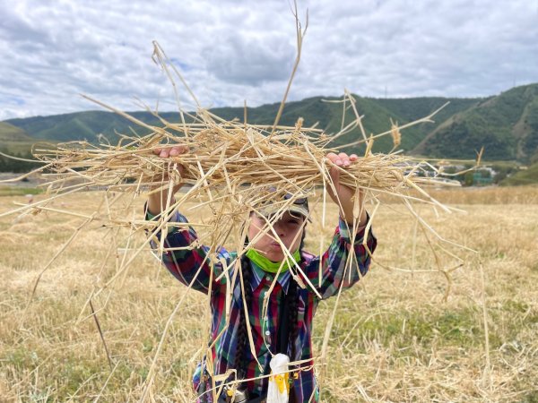川藏深度之旅33天/A行程2901291