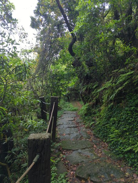 2025.04.27－金包里大路~小油坑縱走2771023