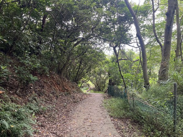 [皮皮獅探險隊-02/10] 2025_0706 漢卿步道、秀才步道2830931