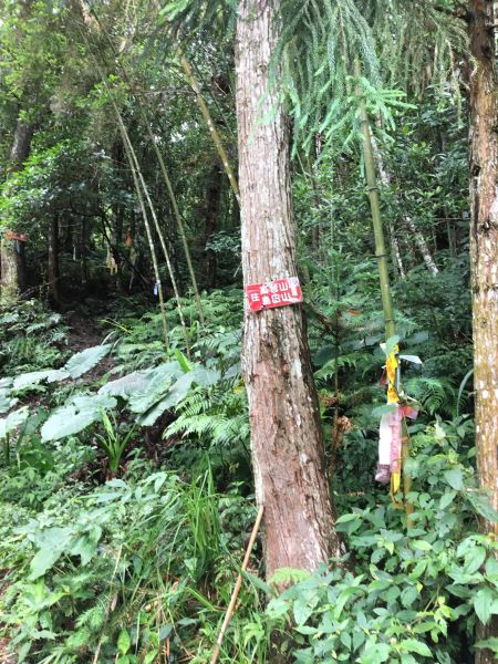 2018/06/18高台山連走島田三山353643