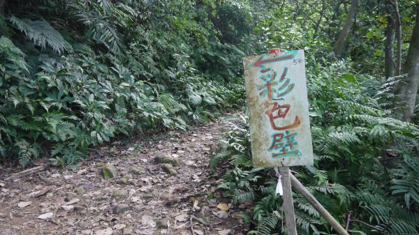 福德坑山登山健行趣(小百岳19)1546937