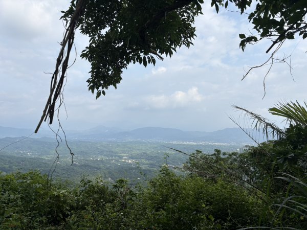 20251010南化龍麟山步道2914995