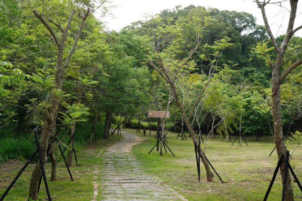 臺中 龍井 竹坑山2767051