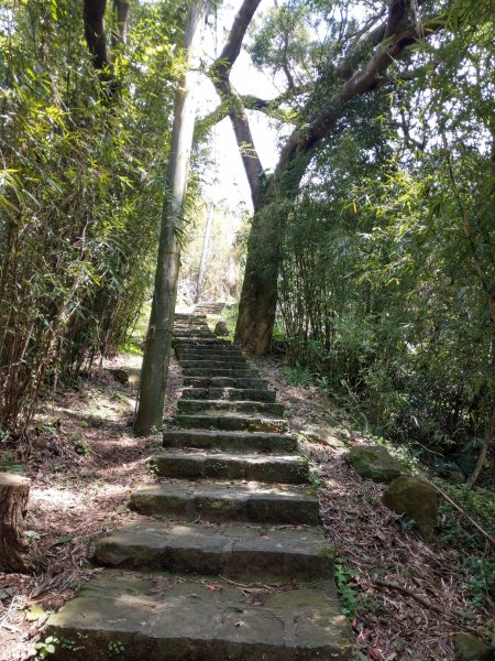 走永春寮步道登中正山，由第一登山口轉頂湖山下頂湖 (2021/3/26)1416714