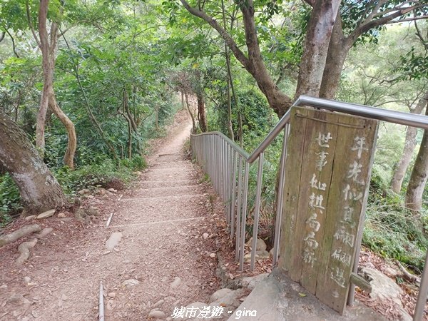 【彰化田中】蓊鬱森林有點陡。 田中森林登山步道1925571