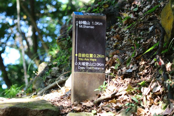 紗帽山_橫嶺古道O型857968