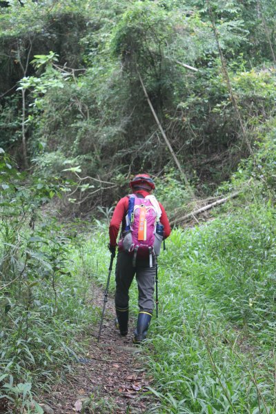 20240525高雄番子寮山-番子寮山主峰2517802