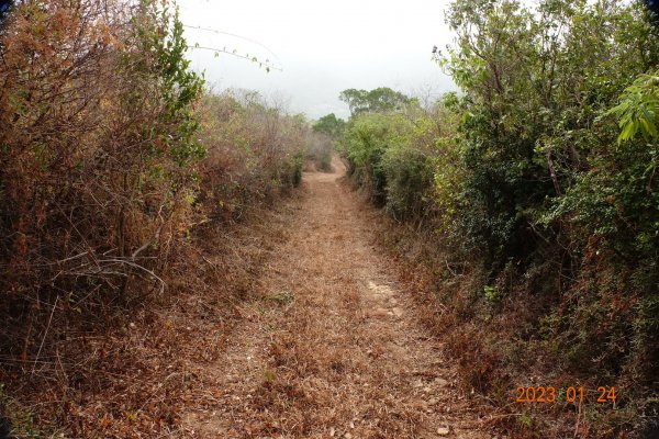 屏東 獅子鄉 獅子頭山2011303