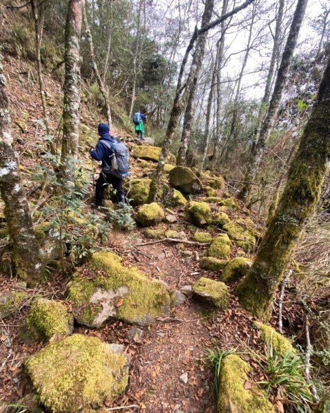 阿里山尋石山，五彩繽紛的石山引水道792474