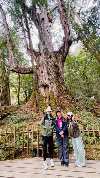 🌈2/7（六）-2/8（日）上帝部落~司馬庫斯神木2日深度之旅✨FB：熊熊趴爬走🌈🌈2995217