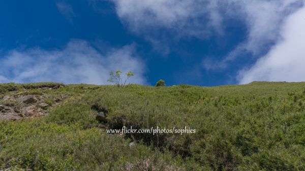 20180713合歡主峰376139