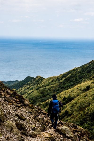 進入侏羅紀公園-劍龍稜820002