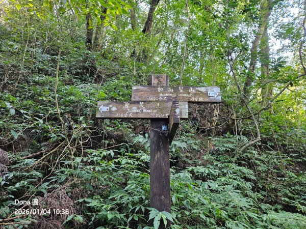 20260104源茂山.源茂山西峰.和尚髻山O走+親水觀魚步道2977712