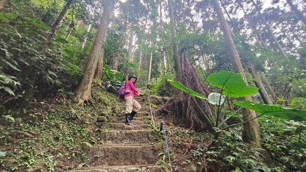 五指山走春3009585