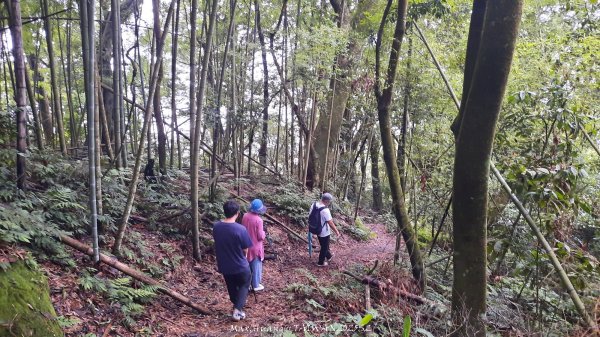 《雲林》望好望角｜石壁山嘉南雲峰步道(中側登山口）202506072805346